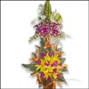 Richy Rich of Floral World - Click here to View more details about this Product